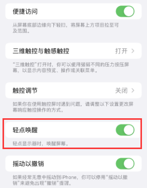 贵阳苹果授权维修站分享iPhone轻点无法唤醒怎么办 