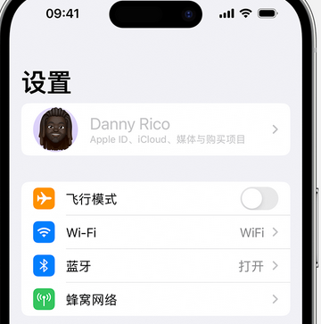 贵阳appleID维修服务iPhone设置中Apple ID显示为灰色无法使用 