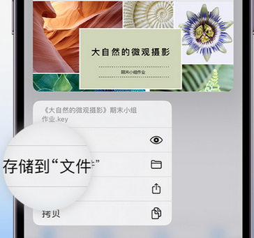 贵阳apple维修中心分享iPhone文件应用中存储和找到下载文件