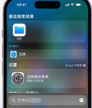 贵阳apple维修中心分享iPhone文件应用中存储和找到下载文件 