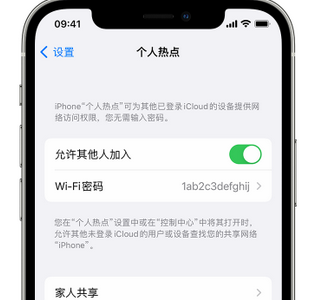 贵阳apple服务站点分享iPhone上个人热点丢失了怎么办 