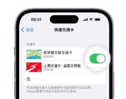 贵阳apple维修点分享iPhone上更换Apple Pay快捷交通卡手绘卡面 