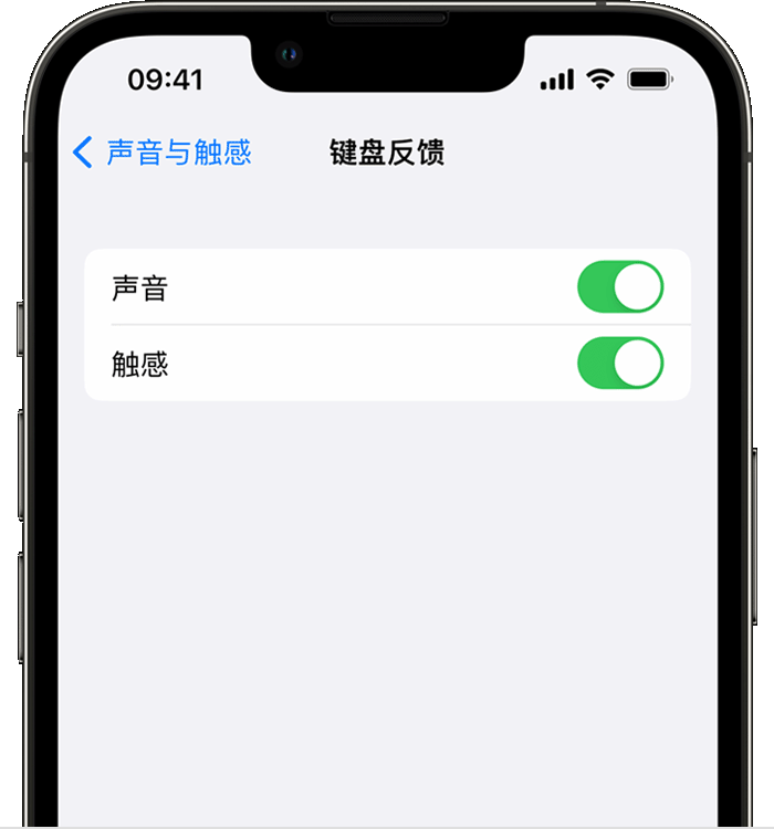 贵阳苹果14维修店分享如何在 iPhone 14 机型中使用触感键盘 