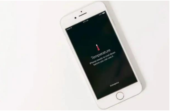 贵阳苹果手机维修分享iPhone 手机发热如何快速降温 