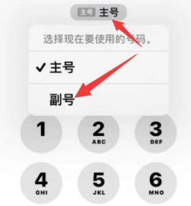 贵阳苹果14维修店分享iPhone 14 Pro Max使用副卡打电话的方法 