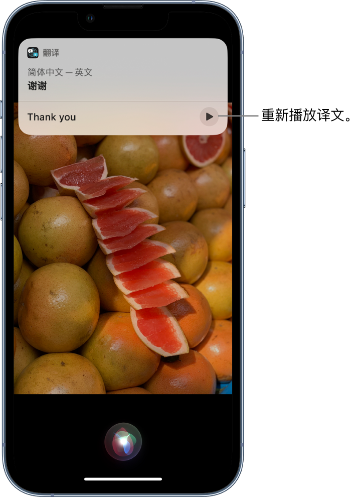 贵阳苹果14维修分享 iPhone 14 机型中使用 Siri：了解 Siri 能帮你做什么 