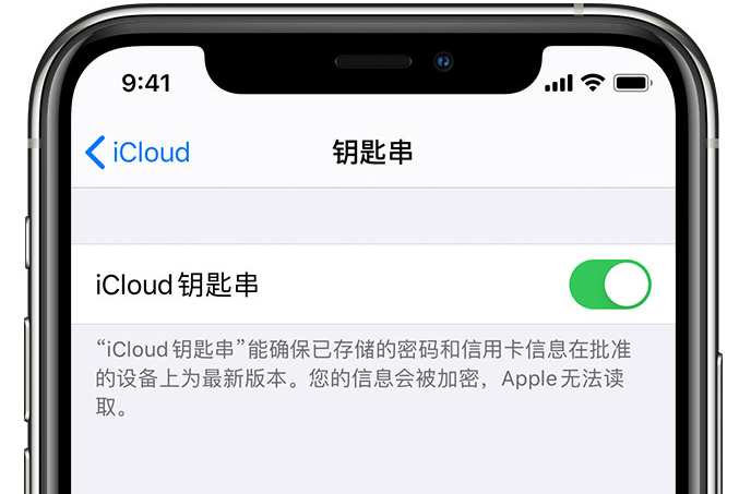 贵阳苹果手机维修分享在 iPhone 上开启 iCloud 钥匙串之后会储存哪些信息 