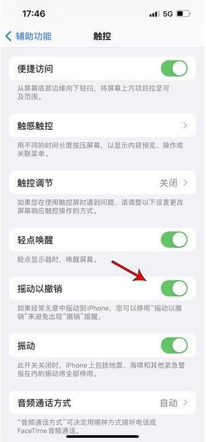 贵阳苹果手机维修分享iPhone手机如何设置摇一摇删除文字 