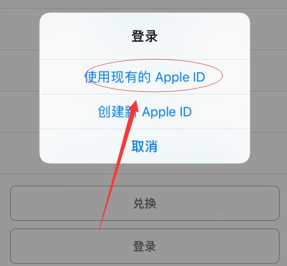 贵阳苹果手机维修分享两台iPhone设备可以同时登录一个Apple ID吗 